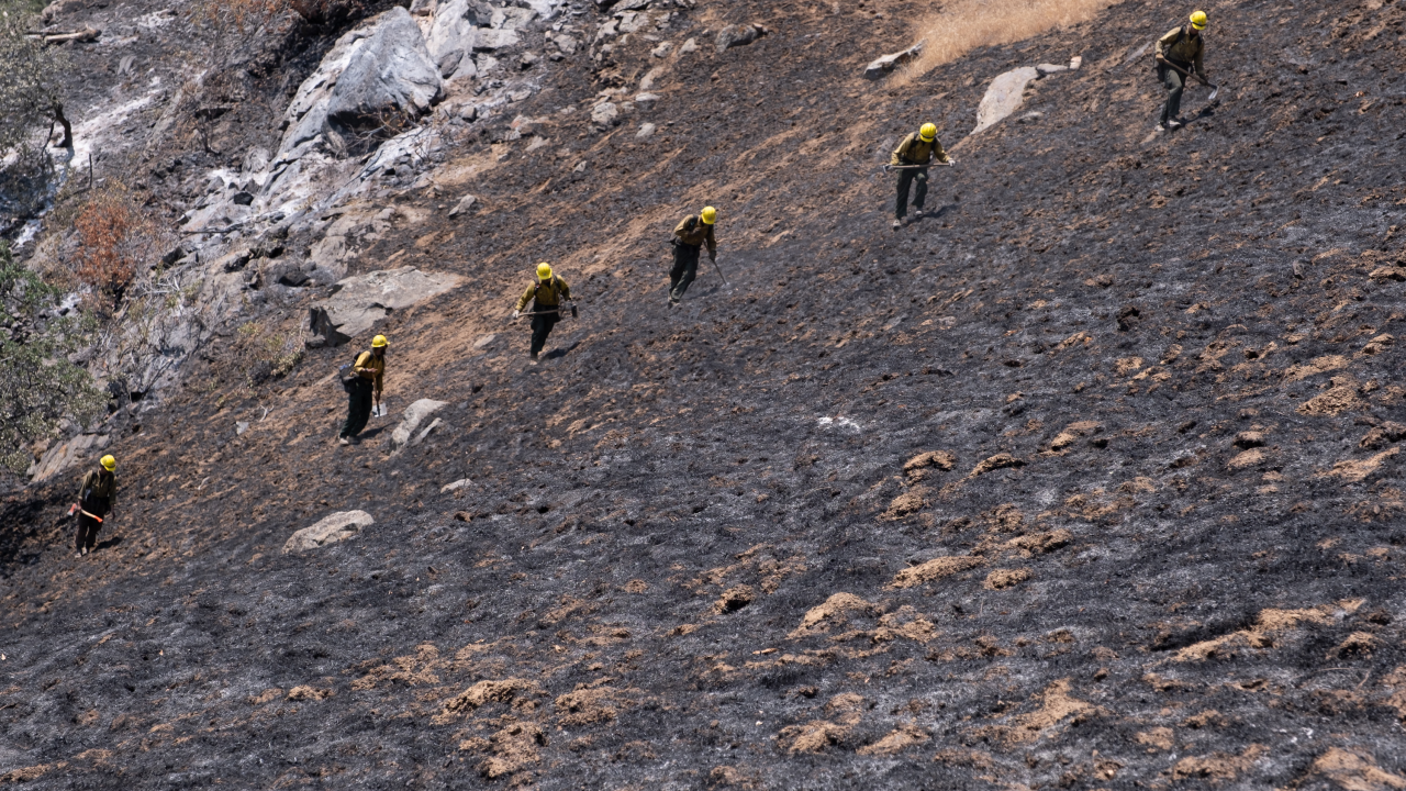 Europa gori od Finske do Turske: Miris paljevine i pogled na požarišta zovu na očuvanje šuma