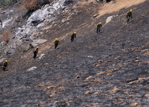 Europa gori od Finske do Turske: Miris paljevine i pogled na požarišta zovu na očuvanje šuma