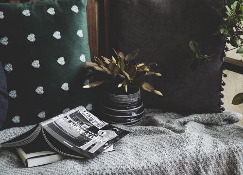 Pet ključnih koraka koji će uvelu biljku vratiti u život