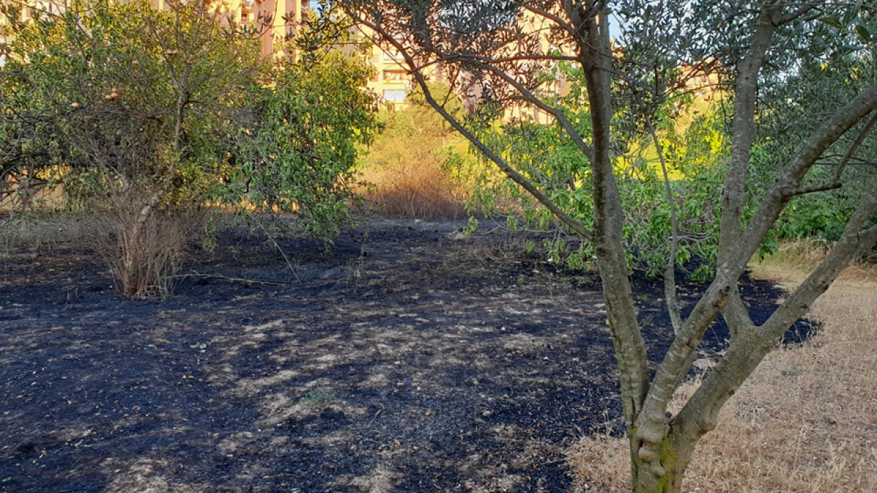 Ugašen je požar koji je buknuo kod Rasadnika na Vidicima: Na intervenciju izašle tri vatrogasne ekipe