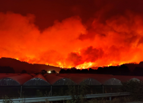 Šesti dan požara u Grčkoj, novi dan pakla za stanovnike otoka Evia