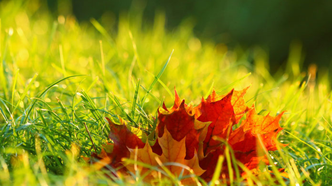 Horoskop za jesen 2021.: Blizanci doživljavaju sudbonosni susret, Djevica uživa kao u čaroliji