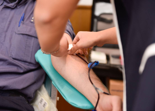 Crveni križ Šibenik apelira: 'Darujte krv, stanje je kritično!'