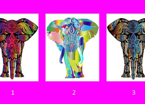 Slon kojeg odaberete šalje vam poruku univerzuma