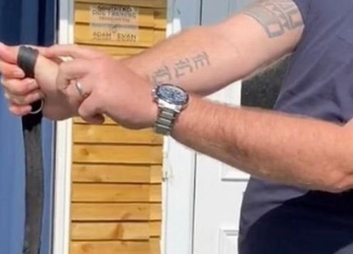 Trener pasa tvrdi da većina vlasnika pogrešno drži povodac, evo što je ispravno