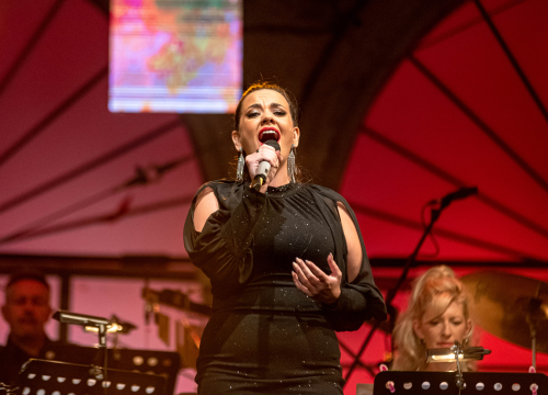 Fotografija 10 - Odijela, ležerne košulje, otkačene kombinacije, svečane haljine: Pogledajte što se nosilo na pozornici 24. Šansone