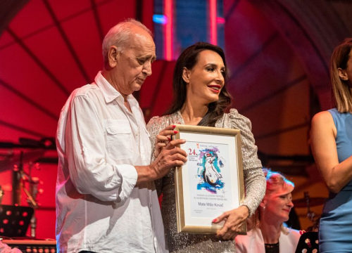 Fotografija 24 - Odijela, ležerne košulje, otkačene kombinacije, svečane haljine: Pogledajte što se nosilo na pozornici 24. Šansone