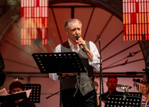 Fotografija 43 - Odijela, ležerne košulje, otkačene kombinacije, svečane haljine: Pogledajte što se nosilo na pozornici 24. Šansone