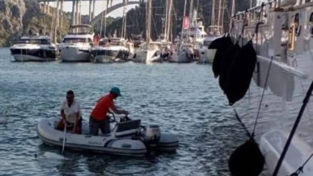 Slučaj ubojstva labuda u Skradinu: Nikom ništa!