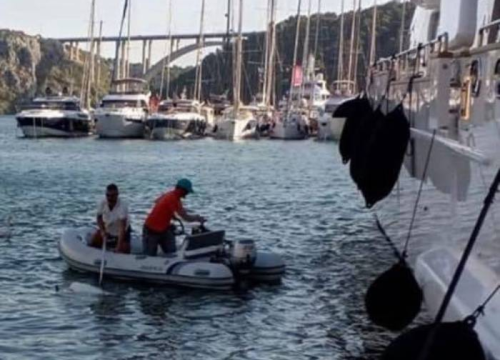 Poznati kirurg prijavljen zbog objave o usmrćenom labudu u Skradinu