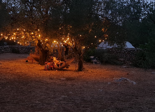 Fotografija 3 - Ljeto je malo popustilo, ali u Tisnom se i dalje pleše: 'Engleza na Gardenu ima ko Rusa'