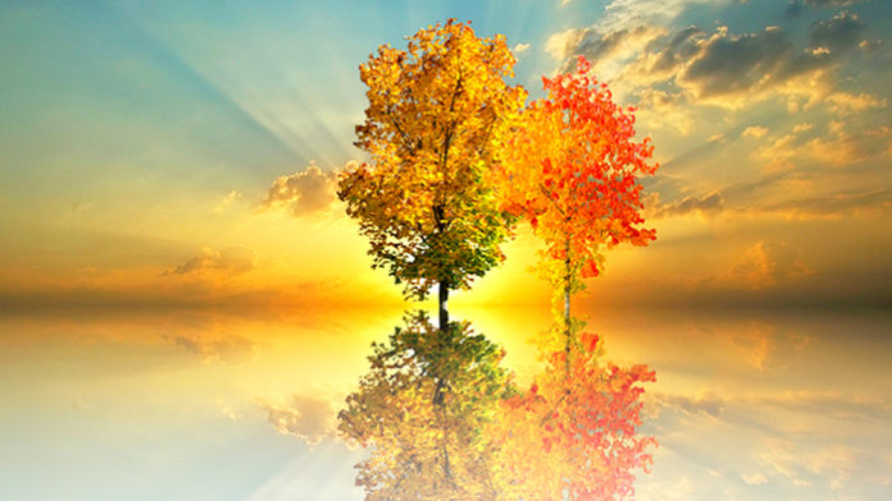 Jesenski horoskop za novac i bogatstvo