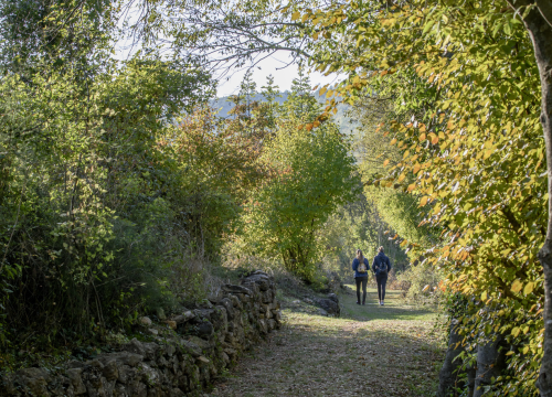 Fotografija 6 - Rujan je za Krku! U tjednu kretanja ulaznice za staze uz Krku po jeftinijim cijenama, evo svih detalja