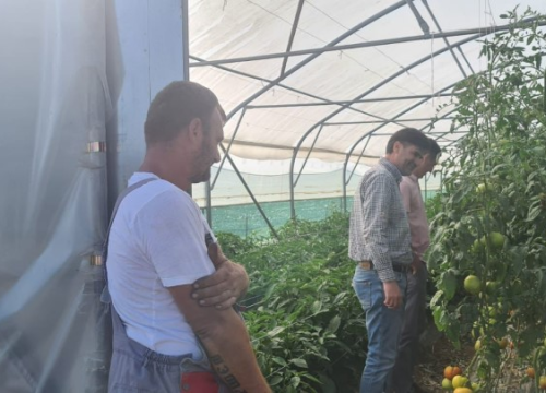 Fotografija 13 - Župan Marko Jelić obišao poljoprivrednike u Biskupiji, Erveniku i Kistanjama