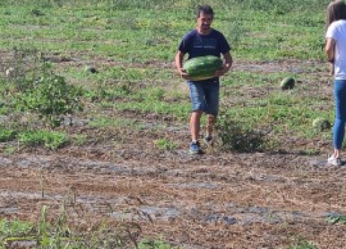 Fotografija 12 - Župan Marko Jelić obišao poljoprivrednike u Biskupiji, Erveniku i Kistanjama