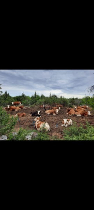 Župan Marko Jelić obišao poljoprivrednike u Biskupiji, Erveniku i Kistanjama