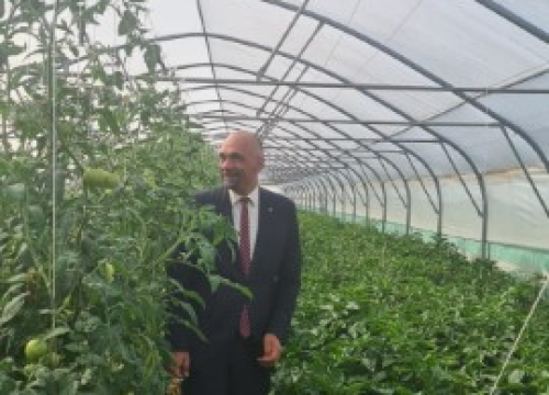 Fotografija 6 - Župan Marko Jelić obišao poljoprivrednike u Biskupiji, Erveniku i Kistanjama