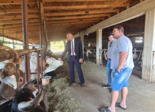 Fotografija 4 - Župan Marko Jelić obišao poljoprivrednike u Biskupiji, Erveniku i Kistanjama