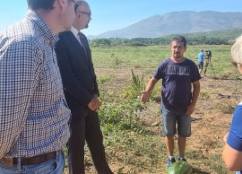 Fotografija 2 - Župan Marko Jelić obišao poljoprivrednike u Biskupiji, Erveniku i Kistanjama