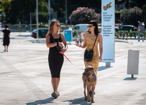 Fotografija 9 - Kraljice modne špice iskoristile sunčane dane i prošetale omiljene ljetne komade