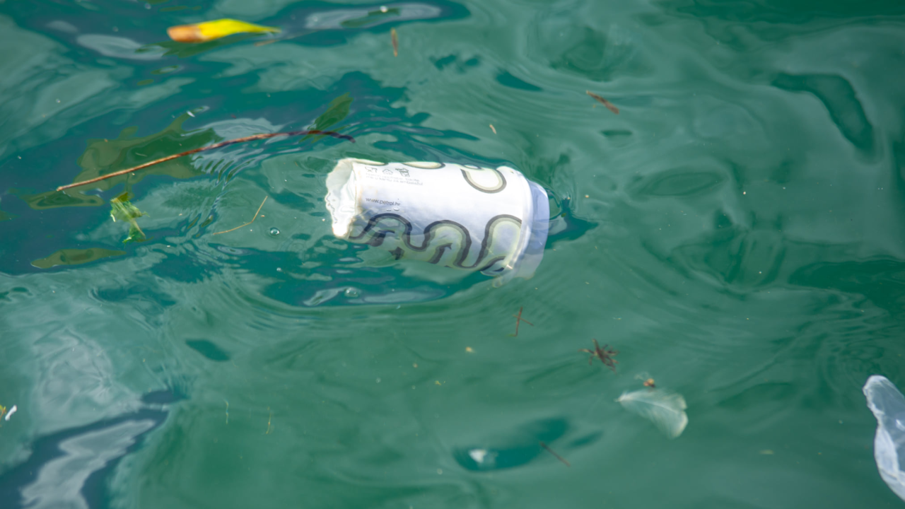 Zabrana vrećica prvi korak u spašavanju Jadrana: Naše je more jako zagađeno, ali ima načina kako mu pomoći