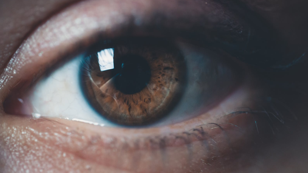 Što boja očiju govori o vama: Sive su prava rijetkost, a crne zapravo ne postoje