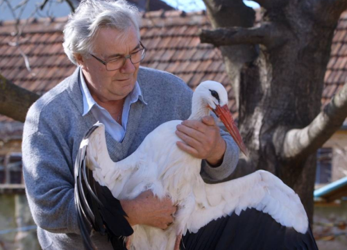 Fenomenalni dokumentarac 'Starac i roda' dostupan online, pogledajte priću o Stjepanu i Malenoj