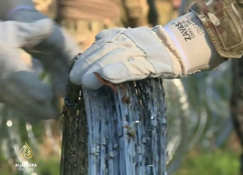 Nobelovac: Europa treba migrante dočekati sa suosjećanjem, ne bodljikavom žicom