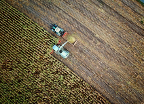 Cijene hrane dosegnule najvišu razinu u deset godina