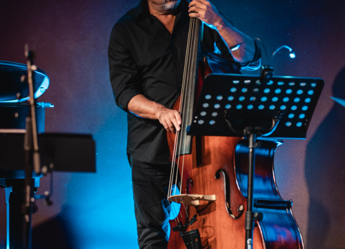 Fotografija 9 - Tamara Obrovac Transadriatic Quartet Šibenčane odveli na jazz etno putovanje