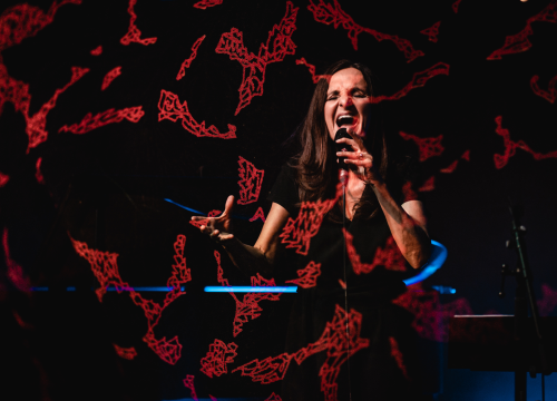 Fotografija 20 - Tamara Obrovac Transadriatic Quartet Šibenčane odveli na jazz etno putovanje