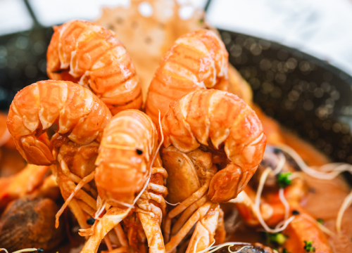 Fotografija 27 - Najbolja spiza čeka vas u centru grada!