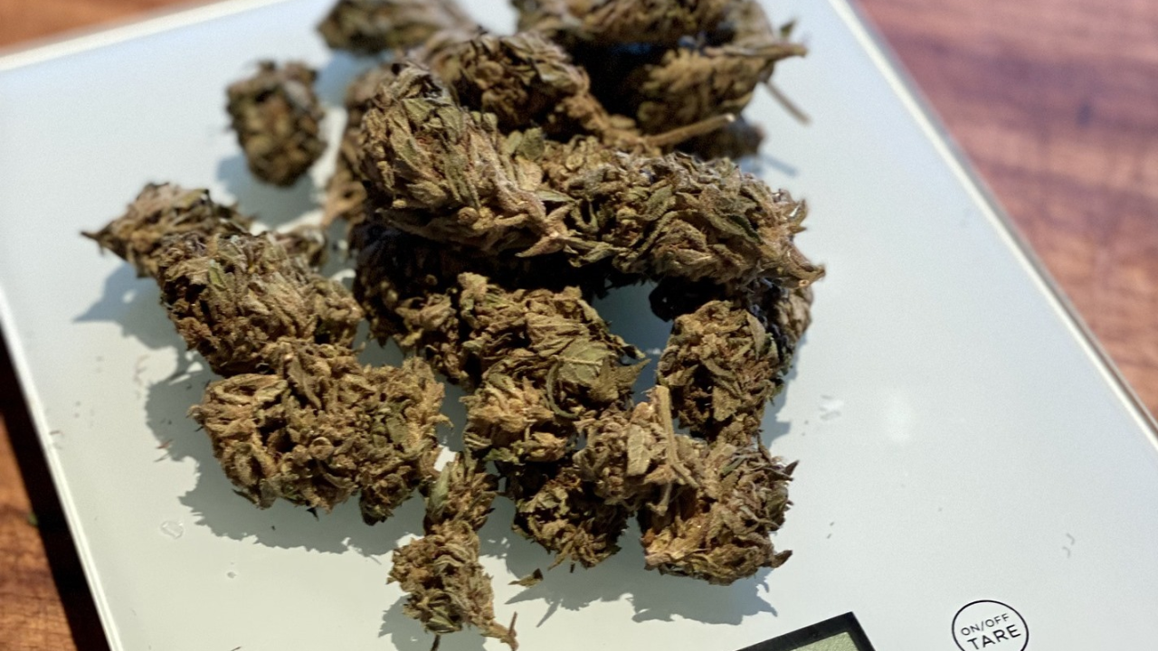 Znanstvenici ostali iznenađeni kad su testirali djecu roditelja koji konzumiraju marihuanu