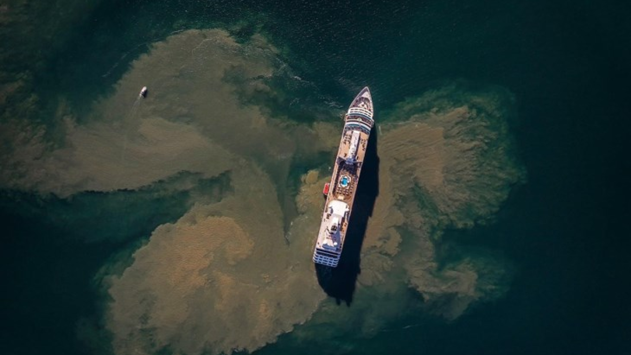 Fotografija kruzera kod Pule zaprepastila građane, evo što je dovelo do velikog zamućenja mora oko broda