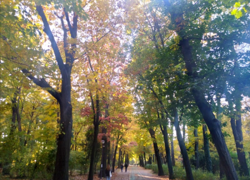 Fotografija 34 - Bukurešt- četiri dana, 2220 kuna: Pariz istoka itekako vrijedi posjetiti, pogotovo kad avionsku kartu platite 8 eura