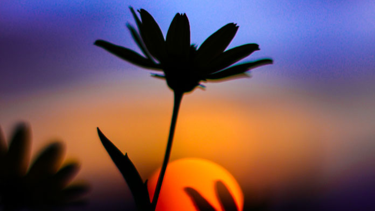 Najsretniji znakovi će biti Ovan, Vodenjak i Škorpion