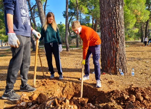 Nedjelju provedite s volonterima u Minerskoj: Kreće akcije sadnje mladih stabala