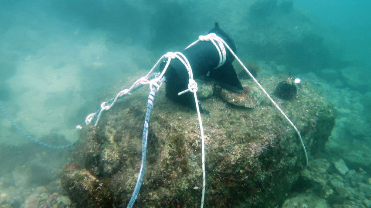 Novi projekt udruge Šibenik Meteo: Nakon Martinske, podvodna kamera instalirana i u Podgori