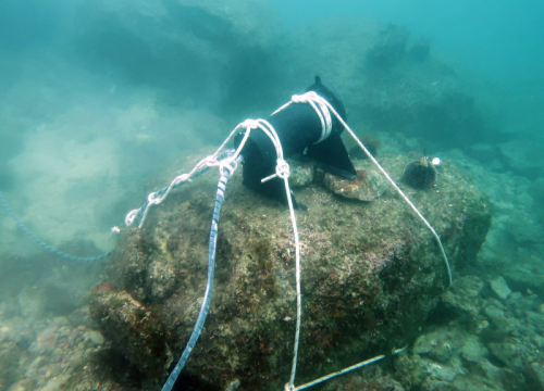 Novi projekt udruge Šibenik Meteo: Nakon Martinske, podvodna kamera instalirana i u Podgori