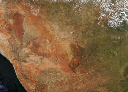 Sadi se 8000 kilometara duga šuma koja će spriječiti širenje Sahare,  bit će najveća na planeti