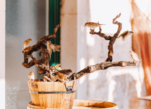 Fotografija 12 - Advent u Arije uz glazbu uživo svakog vikenda donosi odličnu ponudu blagdanskih jela!