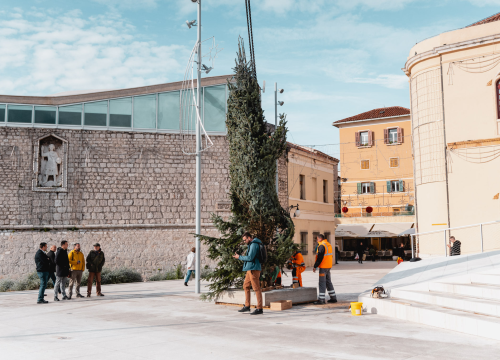 Fotografija 3 - Okončan šibenski raketni program: Šibenik dobio pravi 7,5 metara visok božićni bor