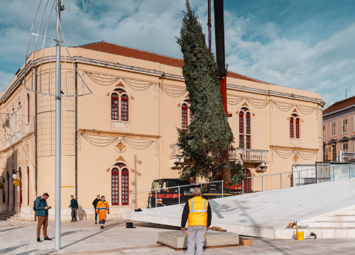Fotografija 4 - Okončan šibenski raketni program: Šibenik dobio pravi 7,5 metara visok božićni bor