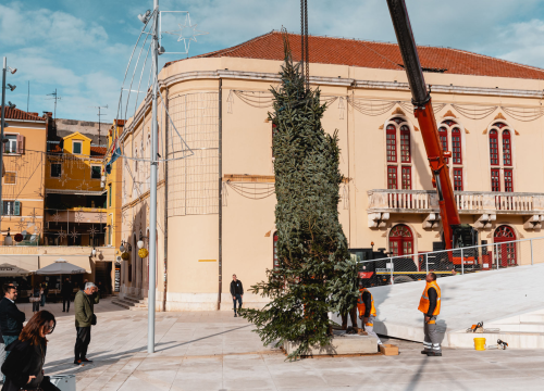 Fotografija 6 - Okončan šibenski raketni program: Šibenik dobio pravi 7,5 metara visok božićni bor