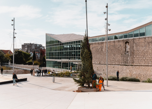 Fotografija 5 - Okončan šibenski raketni program: Šibenik dobio pravi 7,5 metara visok božićni bor