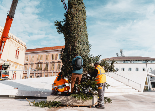 Fotografija 8 - Okončan šibenski raketni program: Šibenik dobio pravi 7,5 metara visok božićni bor