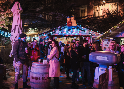 Fotografija 3 - Adventuristi se uz hitove BluVinila cijepili najboljom zabavom: U Đardinu je bilo odlično!