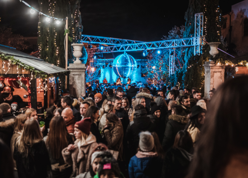 Fotografija 20 - Adventuristi se uz hitove BluVinila cijepili najboljom zabavom: U Đardinu je bilo odlično!