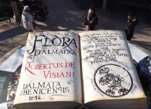 Pogledajte kako je nastala golema 'Flora Dalmatica', najveća atrakcija Adventure...