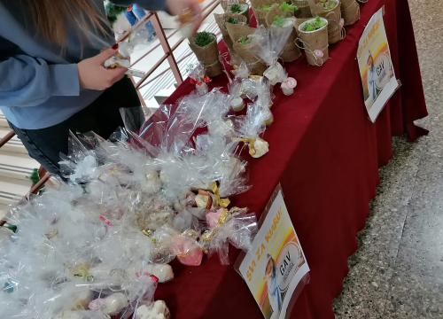 Fotografija 6 - Šibenski gimazijalci u školi prikupili 5826 kuna za liječenje male Kiare